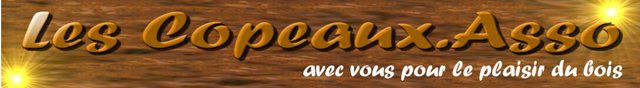 Forum Association Les Copeaux Forum Index