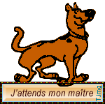 Chien attend