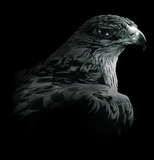 dark eagle Index du Forum
