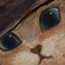 Ce forum est verrouillé; vous ne pouvez pas poster, ni répondre, ni éditer les sujets. Ce forum est verrouillé; vous ne pouvez pas poster, ni répondre, ni éditer les sujets.