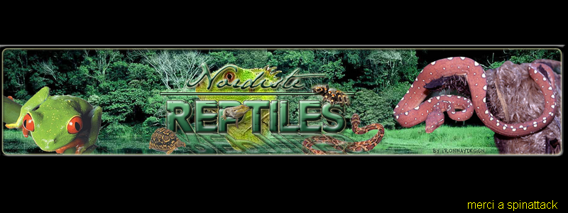NORDISTE-REPTILES Index du Forum
