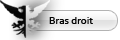 Bras droit