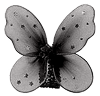 CT DE butterflyDsign