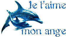 Je t aime5