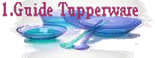 Un guide d'aide et d'astuces pour les Tupperware Index du Forum