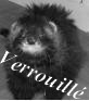 Forum Verrouillé