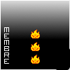 Membre