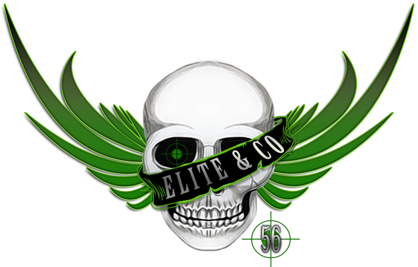 Team Elite & Co Index du Forum