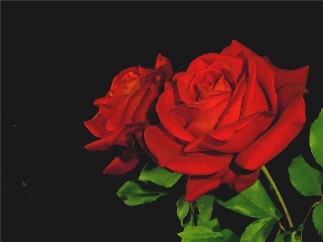 ROSE Index du Forum