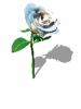 rose: