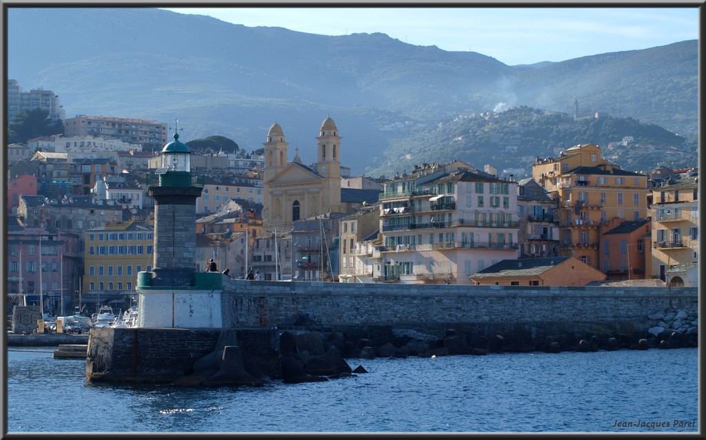 chat bastia