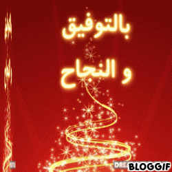 Https Encrypted Tbn0 Gstatic Com Images Q Tbn 3aand9gcrei Z2x5yvjyyjb Kgdtv5d2dwnimdm6z3vg Usqp Cau