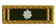 <b><font color=#39552B>Lieutenant-Colonel I</font></b>