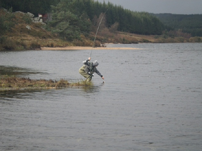 Yandeks market tout pour la pêche