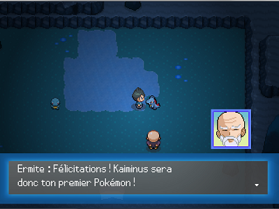 codes de niveau de rencontre de pokémon sauvage