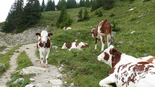 Vos rencontre