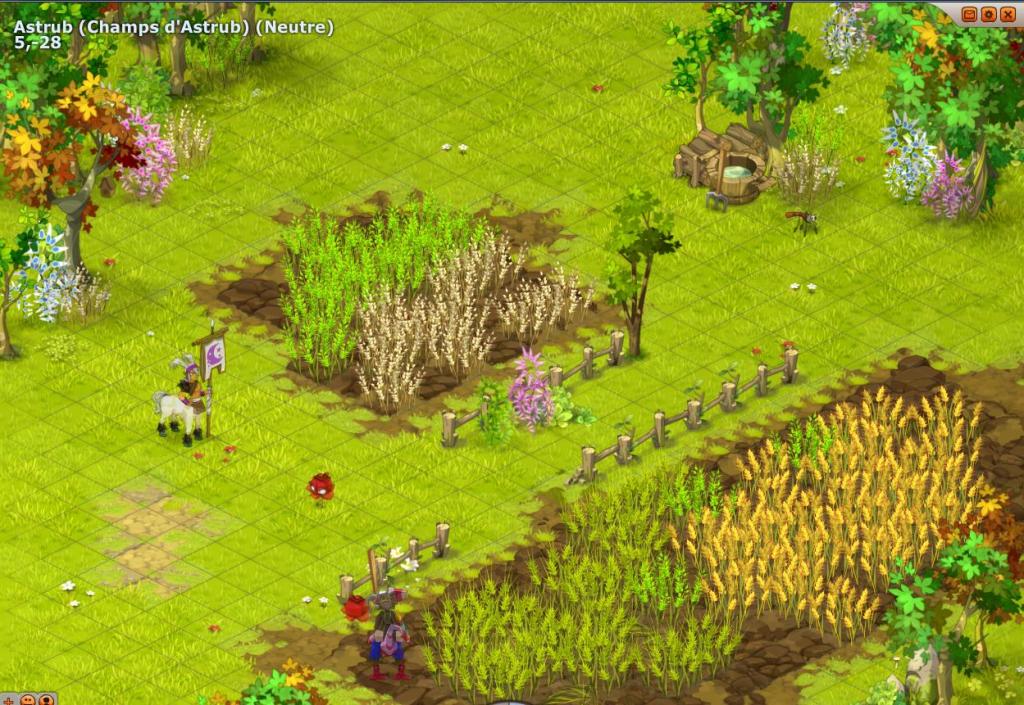 Dofus carte champ verdoyant