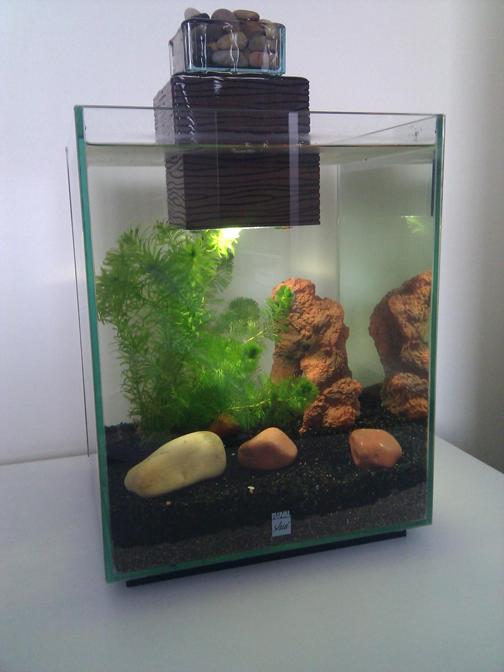 aquarium shui ii