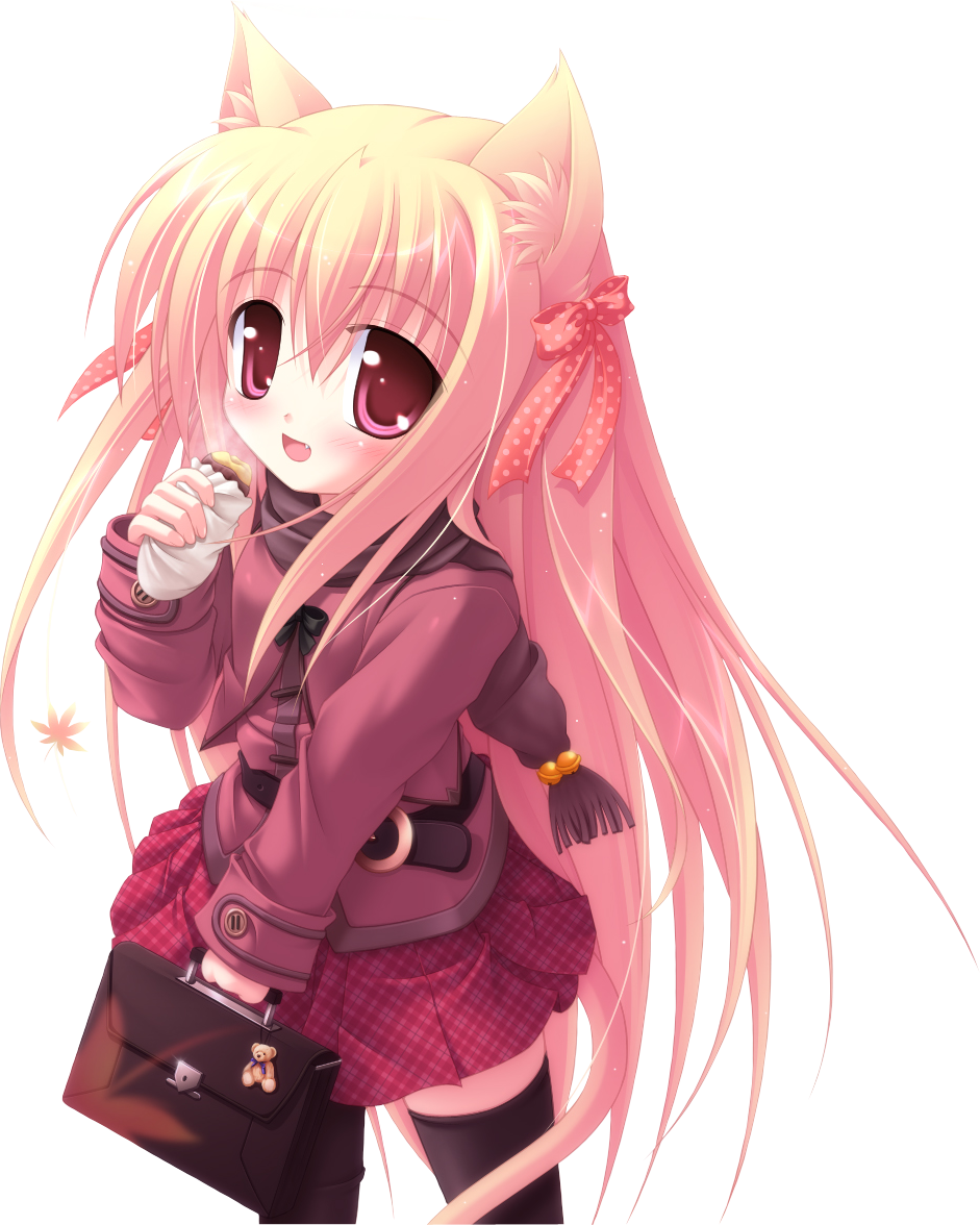 Afficher l'image d'origine