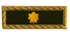 <b><font color=#7F462C>Major</font></b>