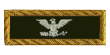 Colonel