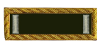 <b><font color=#7F5217>Lieutenant</font></b>