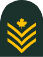 Sergent