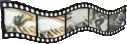 gagnant concours amv n°1