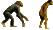 Myroitant Novice