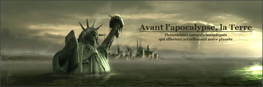Index du Forum