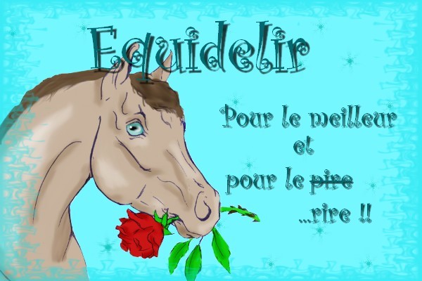 equidelir Index du Forum