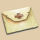 Pas de nouveaux messages Pas de nouveaux messages