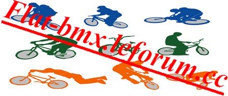 flat-bmx Index du Forum
