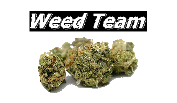 Weed Team's Index du Forum
