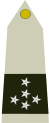 Leader