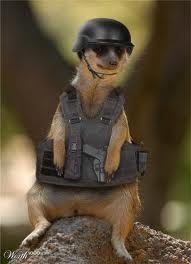 Soldat