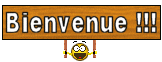 bienvenue2