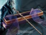Dumbledore Dumbledore