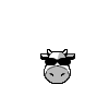 Invité VIP