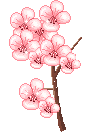 nature4