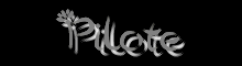 Pilote