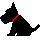 Dog12