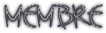 Membre