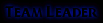 .:Leaders:.