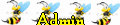 Administrateur