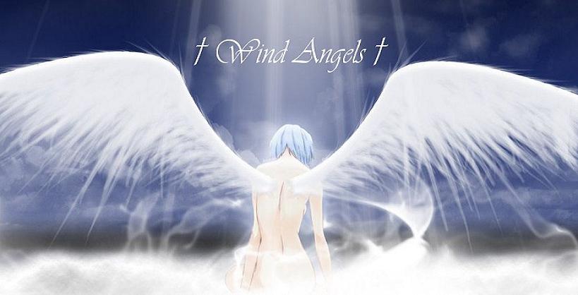 Wind Angels Index du Forum