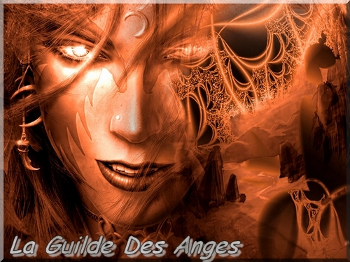 Index du Forum