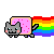 :cat