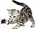 chat4