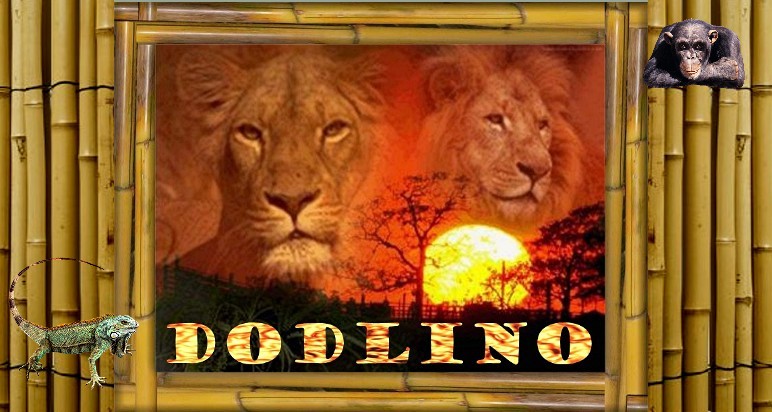 Dodlino Index du Forum
